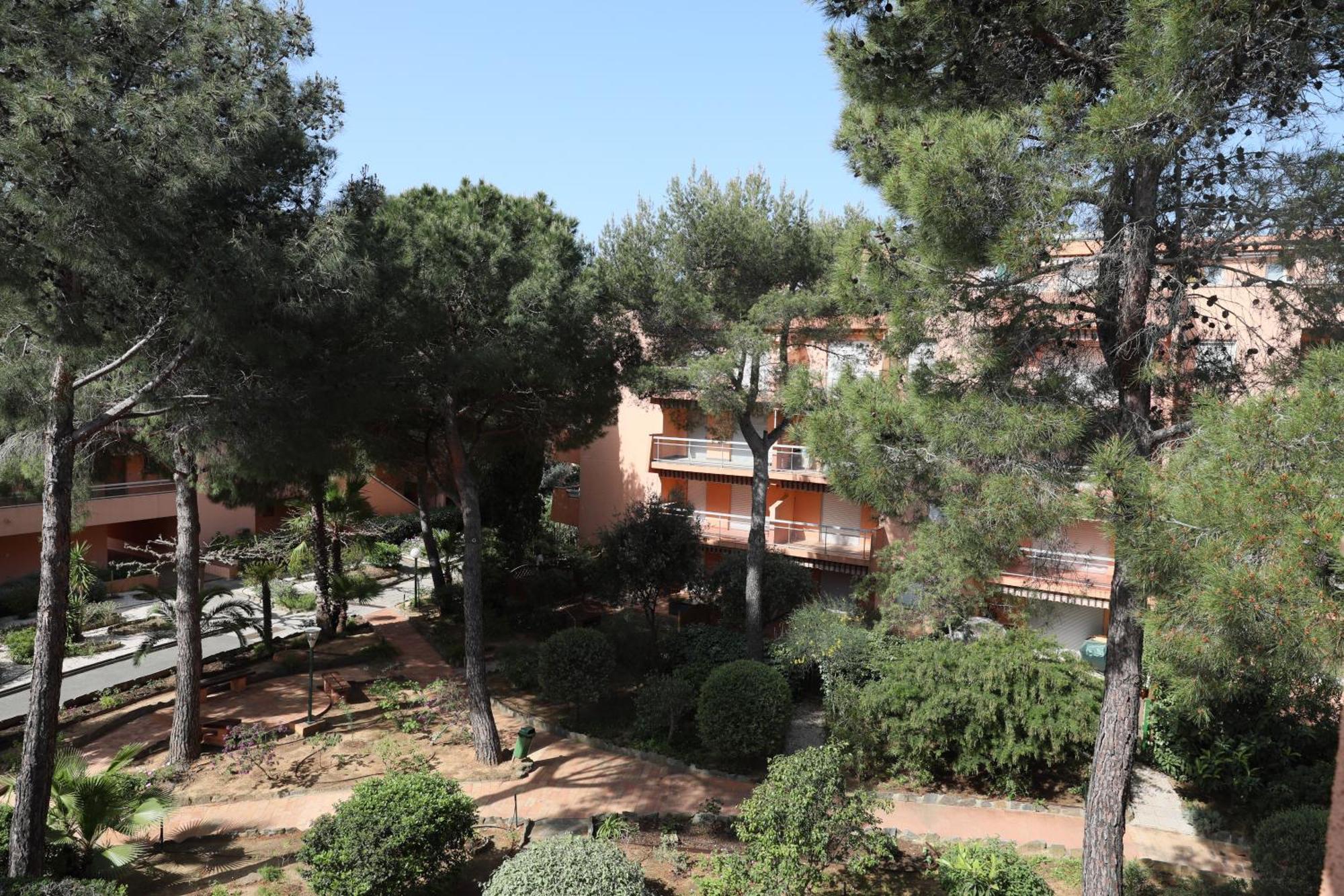 L'Amiraute 150M De La Plage Bormes-les-Mimosas Ngoại thất bức ảnh
